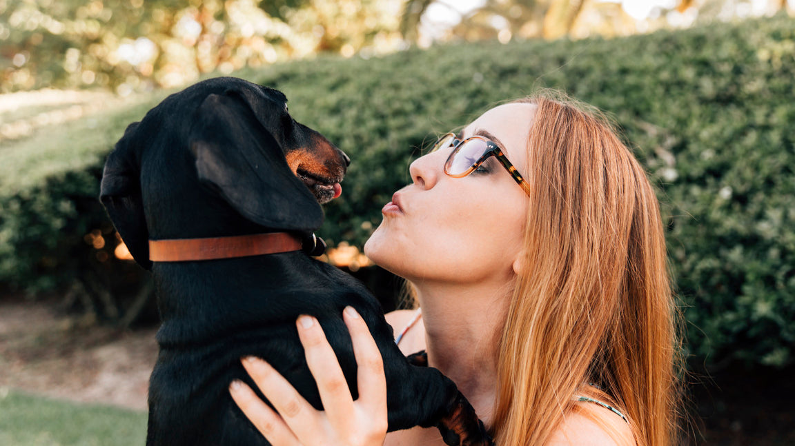 The Trend of Zero-Waste Dog Bandanas: What You Should Know